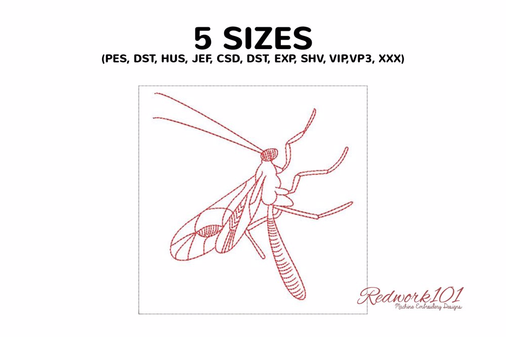 Ichneumonidae