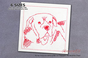 Corsican Dog Head Study