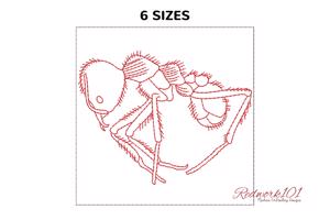 Close up of ant