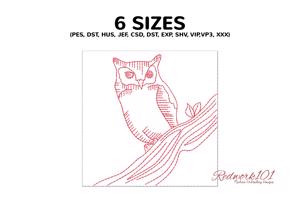 Eastern Screech Owl