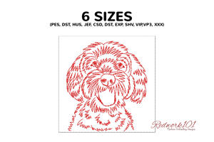 Cute Goldendoodle Dog Face