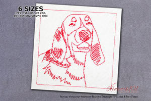 French Hound Portrait