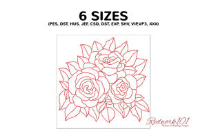 Attractive Rose Flowers