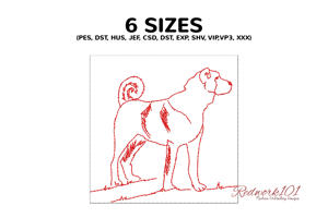 Kangal Shepherd Dog Standing