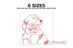 Irish Red and White Setter Dog Portrait