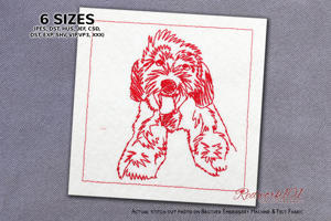 Labradoodle Dog Sitting