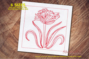 Elegant Allium Flower