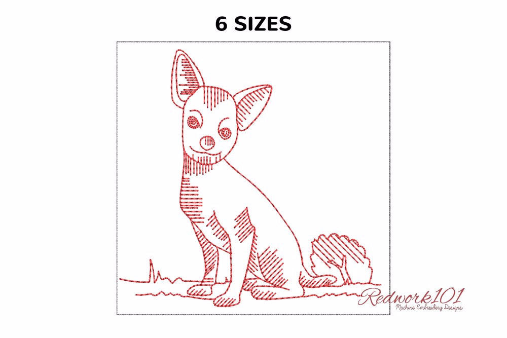 Chihuahua Dog