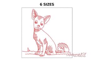 Chihuahua Dog