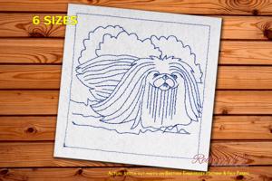 Hairy Pekingese Dog