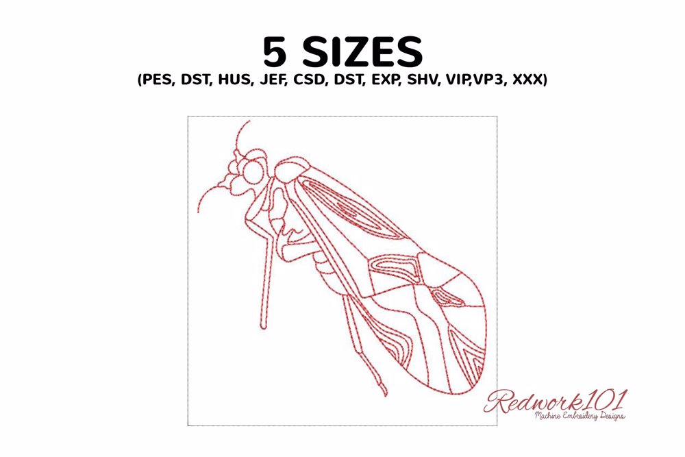 Psocoptera