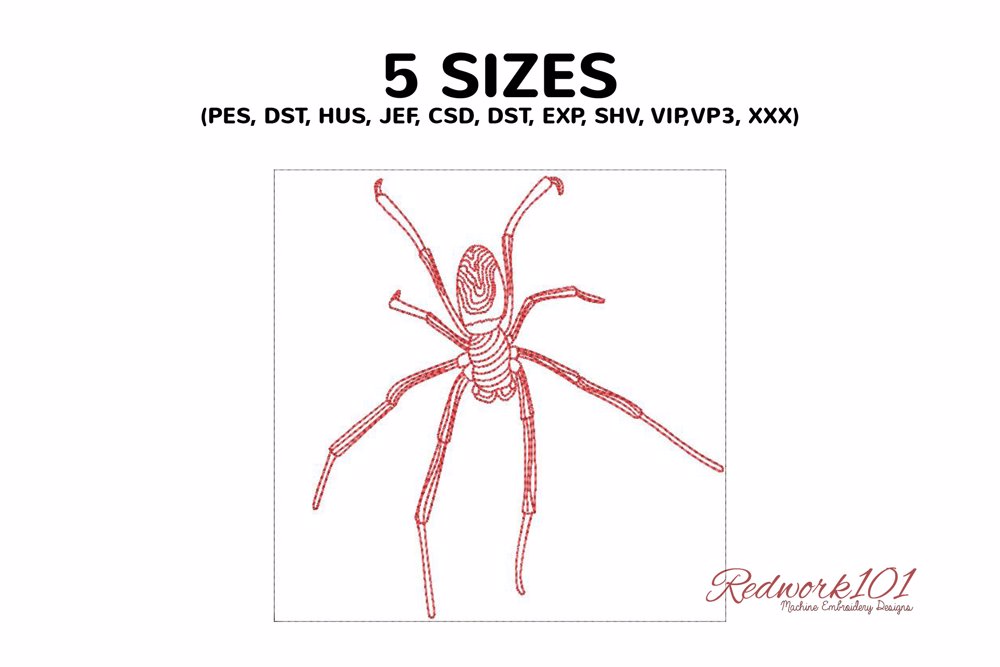 Araneomorphae