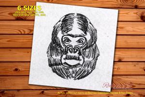 Gorilla Head
