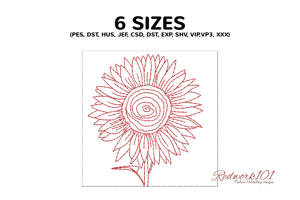 Lovely Sunflower