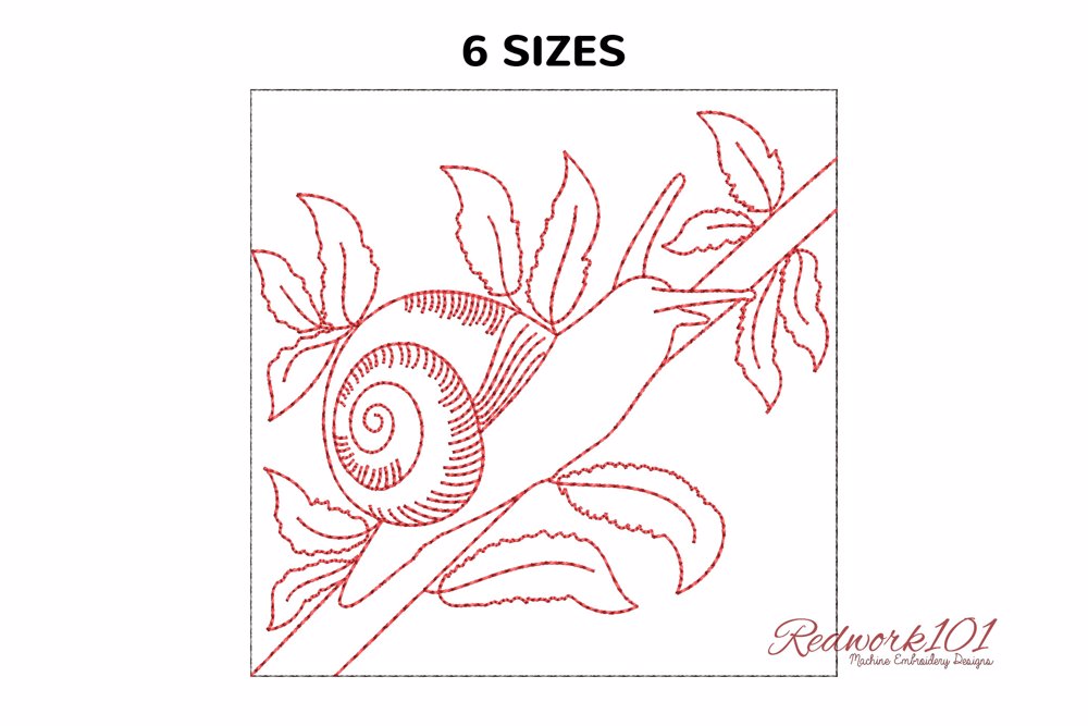 White Garden Snail