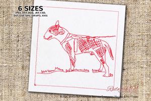 Bull Terrier with Leash
