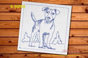 Jack Russell Terrier Breed Dog