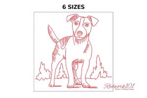 Jack Russell Terrier Breed Dog