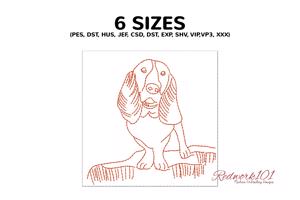 Adorable Basset Hound Puppy