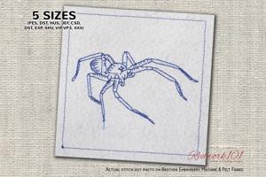 Brown Recluse Spider