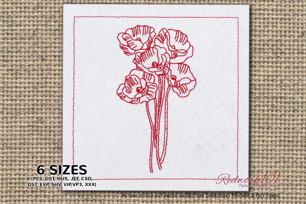 Poppy Perennial Plants