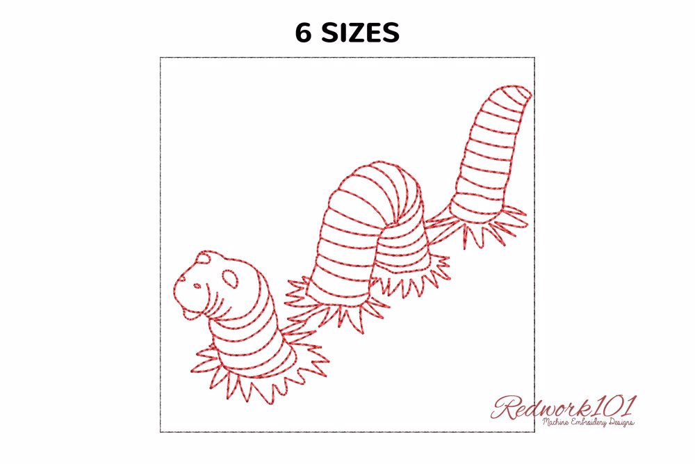 Belt worm