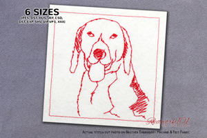 Drever Dog Portrait