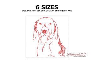 Drever Dog Portrait