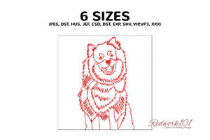 Smiling Finnish Lapphund Dog