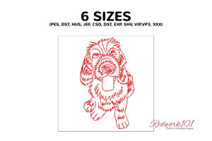 Portrait of a Grand Griffon Vendï¿½en Dog