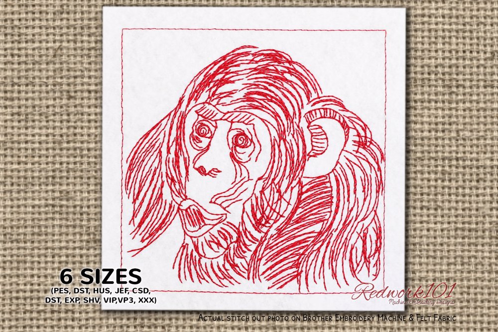 Baby Chimpanzee