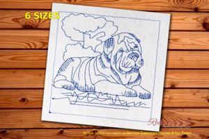 Shar Pei Dog