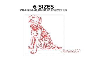 Seated Airedale Terrier
