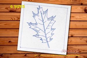 Pin Oak Leaf