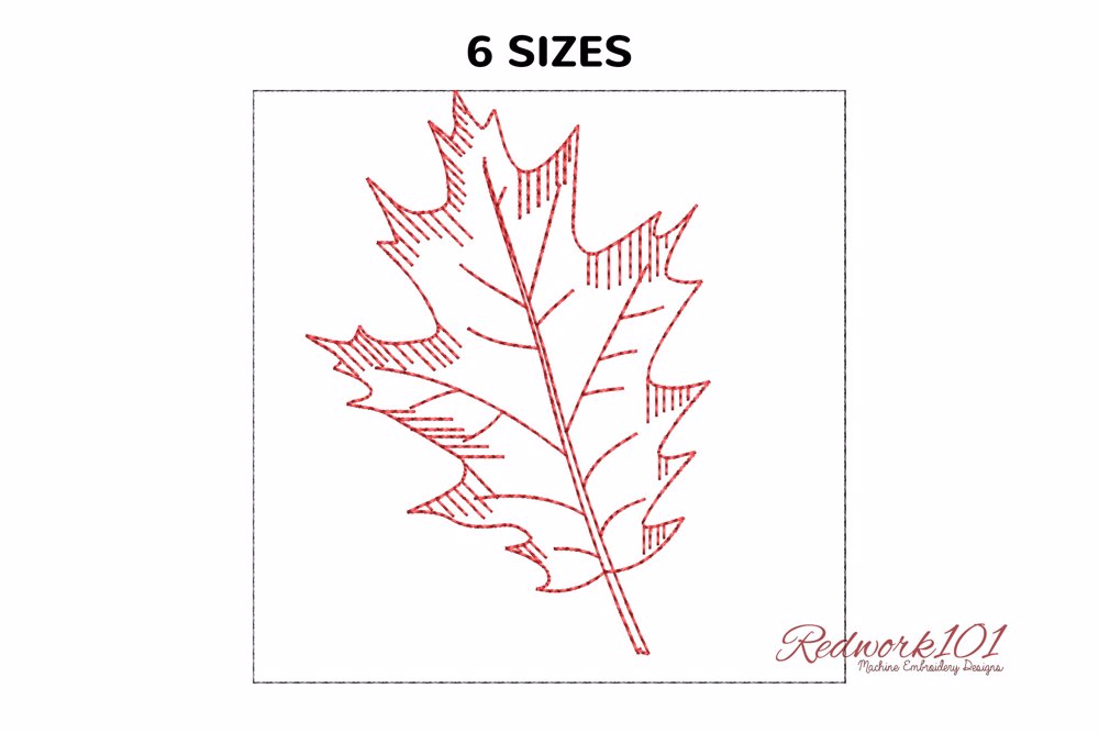 Pin Oak Leaf