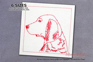 Colombian Fino Hound Dog Head Profile