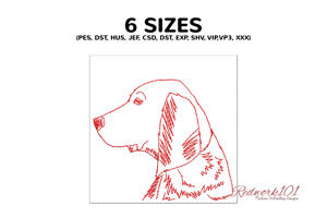 Colombian Fino Hound Dog Head Profile