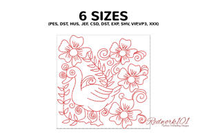 Pretty Duck Standing on Grass