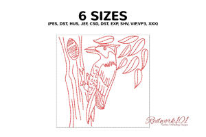 Pleasant Woodpecker On The Tree