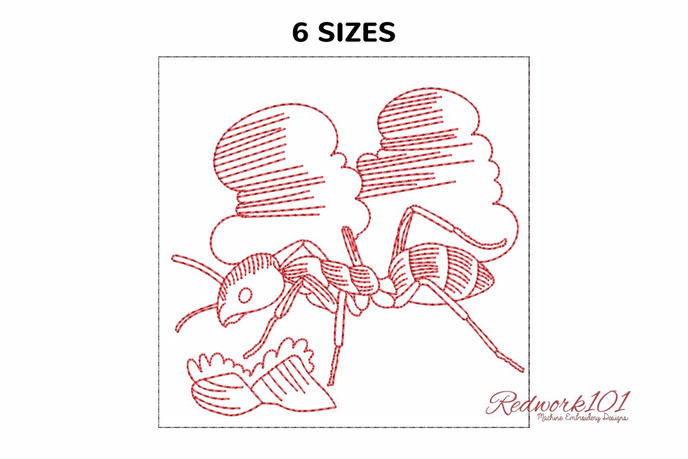 Big Argentine Ant