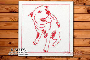 Playful Dog Looking Up