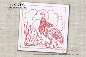 Galloanserae Bird