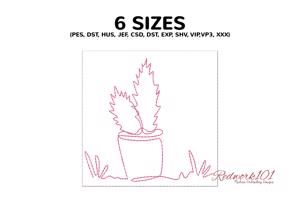 Cactus and succulent plants in pots