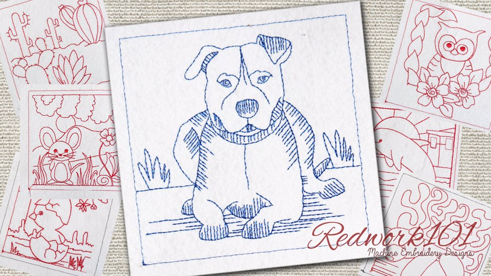 American Staffordshire Terrier
