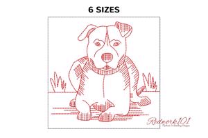 American Staffordshire Terrier