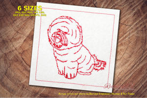 Hungry Bichon Frise Dog