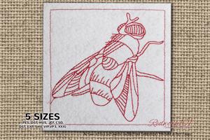 Fly