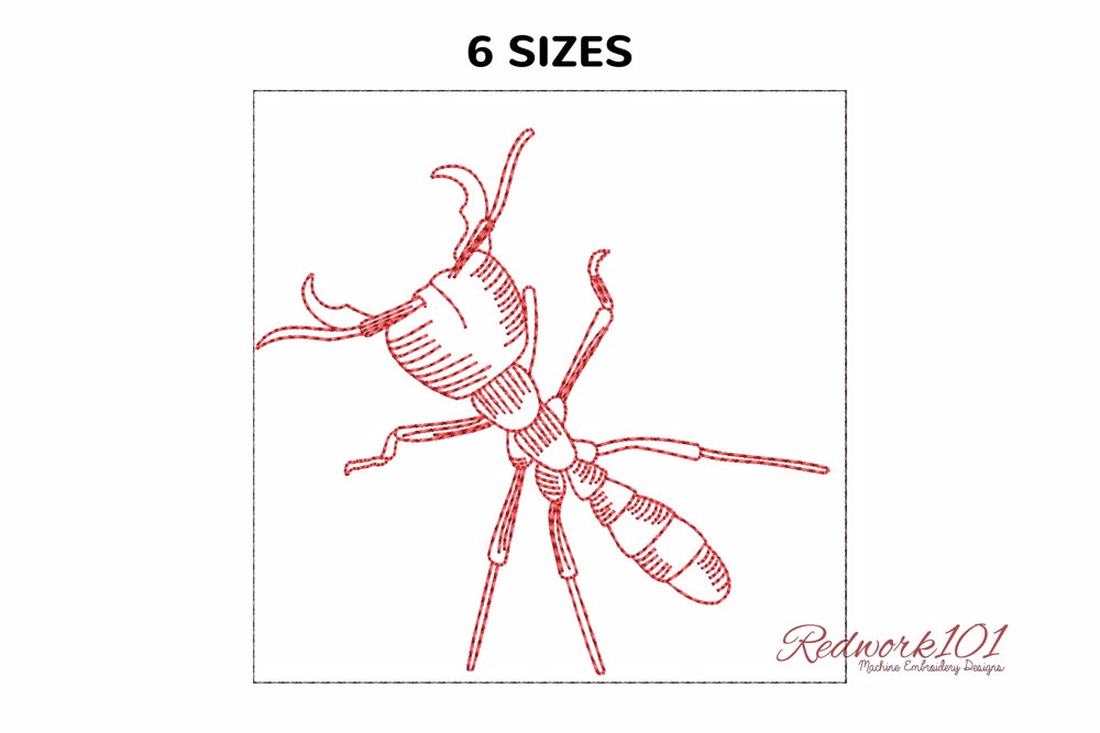Aafari Ant