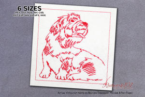 Seated Dandie Dinmont Terrier