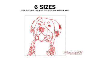 Happy Entlebucher Mountain Dog